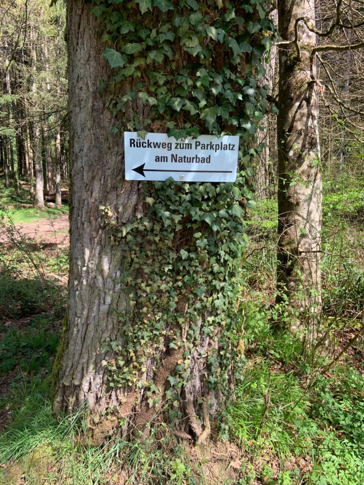 Appartement Sulzbachtal In Lahr, Naehe Europapark, Naehe Rulantica Lahr  Εξωτερικό φωτογραφία